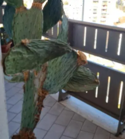 Apartamento Salute Terni